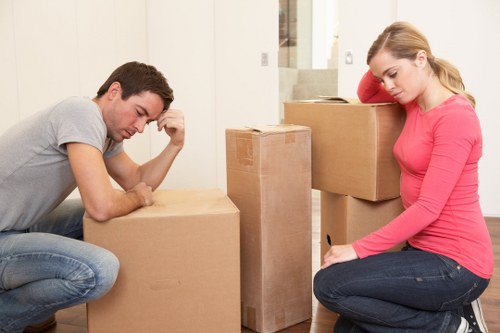 Man with a van assisting a small home or office move