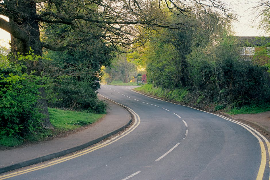 A quiet residential street in Shirley with a gently curved asphalt road marked by double yellow lines along both edges, bordered by a narrow concrete sidewalk on the left side and dense greenery including large trees with sprawling branches and leafy bushes on either side. The trees cast dappled shade over the pavement and part of the road, creating a peaceful atmosphere. In the background, a house with a red-tiled roof is partially visible behind the trees, indicating a suburban neighbourhood. The scene suggests a typical area where professional house removals and furniture transport services, such as those provided by Man with Van Shirley, may operate during a home relocation or moving process, especially as part of complying with local council rules for removals on Shirley roads. The environment is well-lit with natural daylight, emphasizing the clarity of the street and lush surroundings.