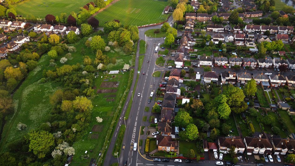 A quiet residential street in Shirley with a gently curved asphalt road marked by double yellow lines along both edges, bordered by a narrow concrete sidewalk on the left side and dense greenery including large trees with sprawling branches and leafy bushes on either side. The trees cast dappled shade over the pavement and part of the road, creating a peaceful atmosphere. In the background, a house with a red-tiled roof is partially visible behind the trees, indicating a suburban neighbourhood. The scene suggests a typical area where professional house removals and furniture transport services, such as those provided by Man with Van Shirley, may operate during a home relocation or moving process, especially as part of complying with local council rules for removals on Shirley roads. The environment is well-lit with natural daylight, emphasizing the clarity of the street and lush surroundings.