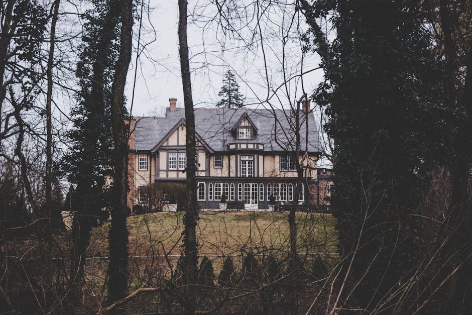 A view of a large, multi-story house with a black and white timber-framed facade and brick sections, situated on a grassy embankment next to a waterway. The house is surrounded by tall trees, including one with lush green foliage on the left and a smaller, sparser tree on the right, both positioned along a stone retaining wall with steps leading up to the property. The sky is bright blue with scattered white clouds, and the scene is illuminated by natural sunlight, highlighting the details of the house and the greenery. This setting reflects a suburban or estate area where home relocation or furniture transport might take place, with the house accessible from the water's edge, relevant to moving services provided by Man with Van Shirley.